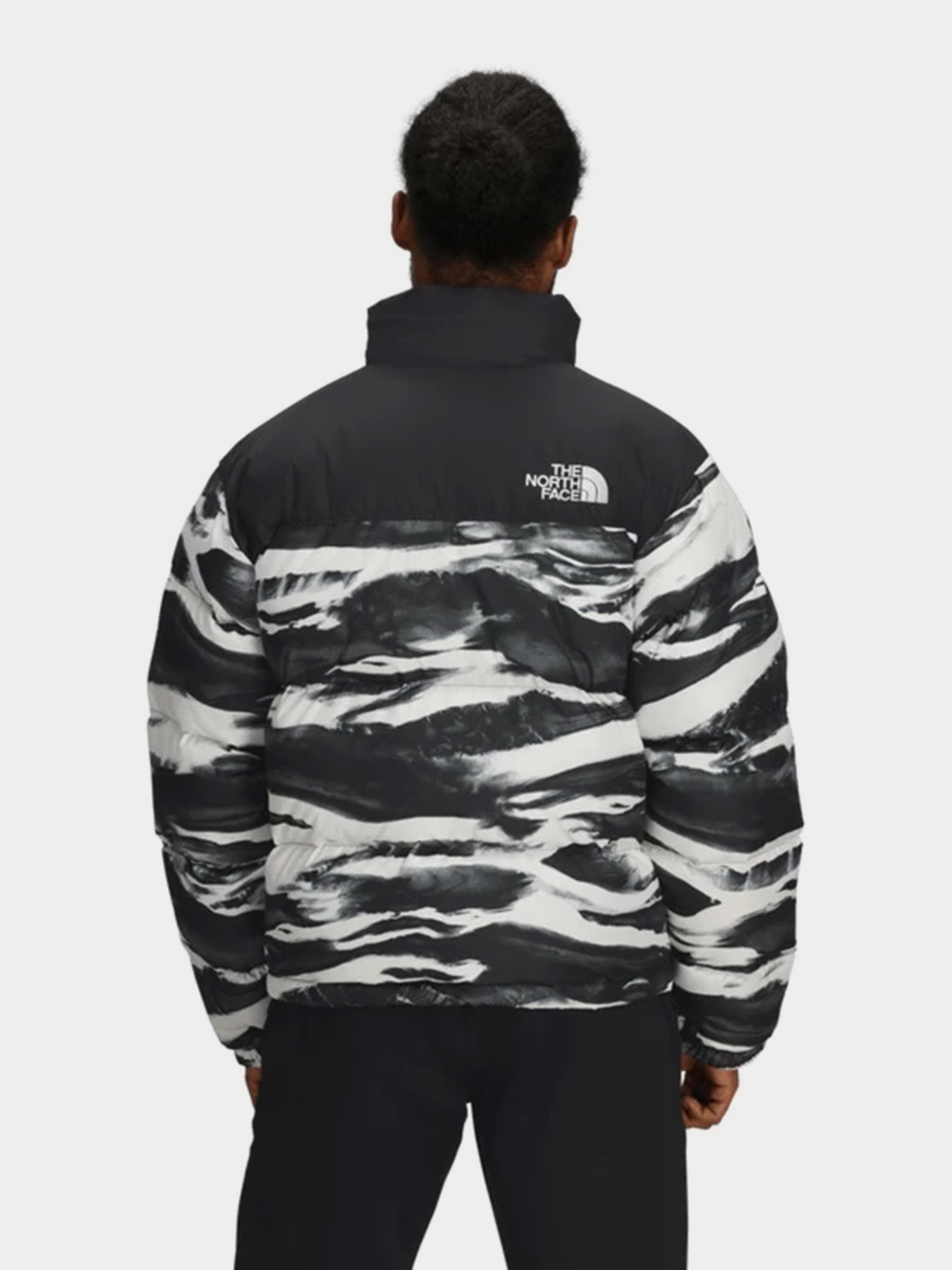 Куртки и дубленки The North Face модель NF0A8D16DJI1 Фото