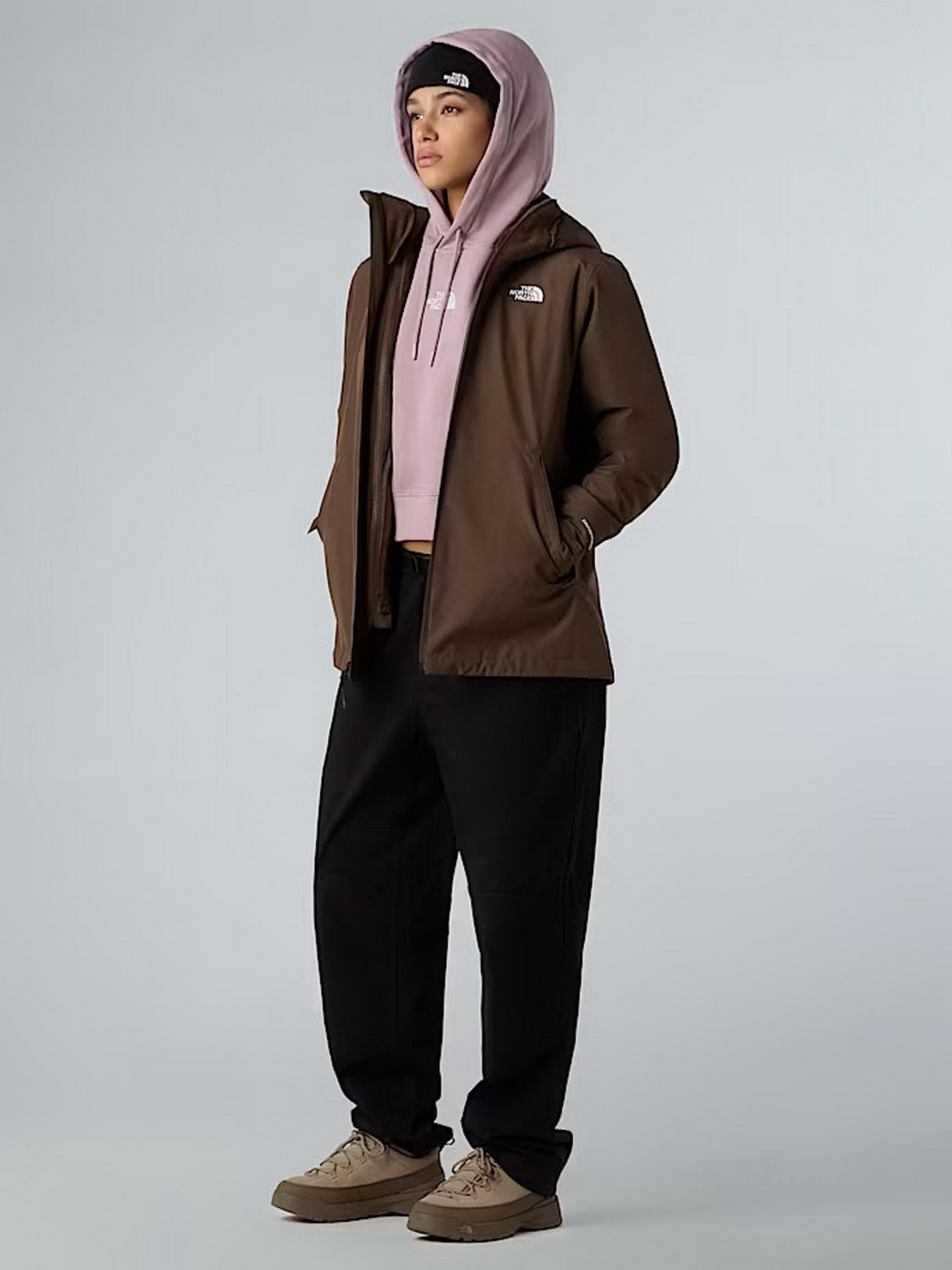 Куртки и дубленки The North Face Carto Mono Triclimate модель NF0A8D3D1OI1 Фото