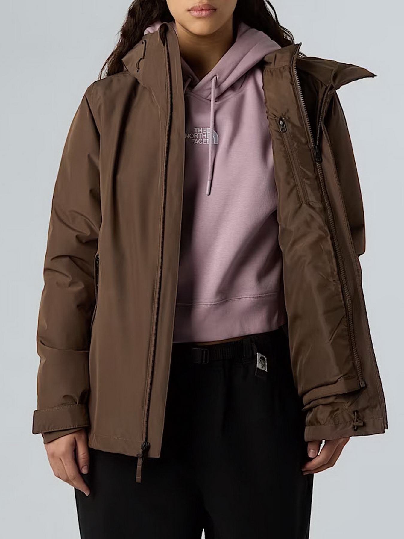 Куртки и дубленки The North Face Carto Mono Triclimate модель NF0A8D3D1OI1 Фото