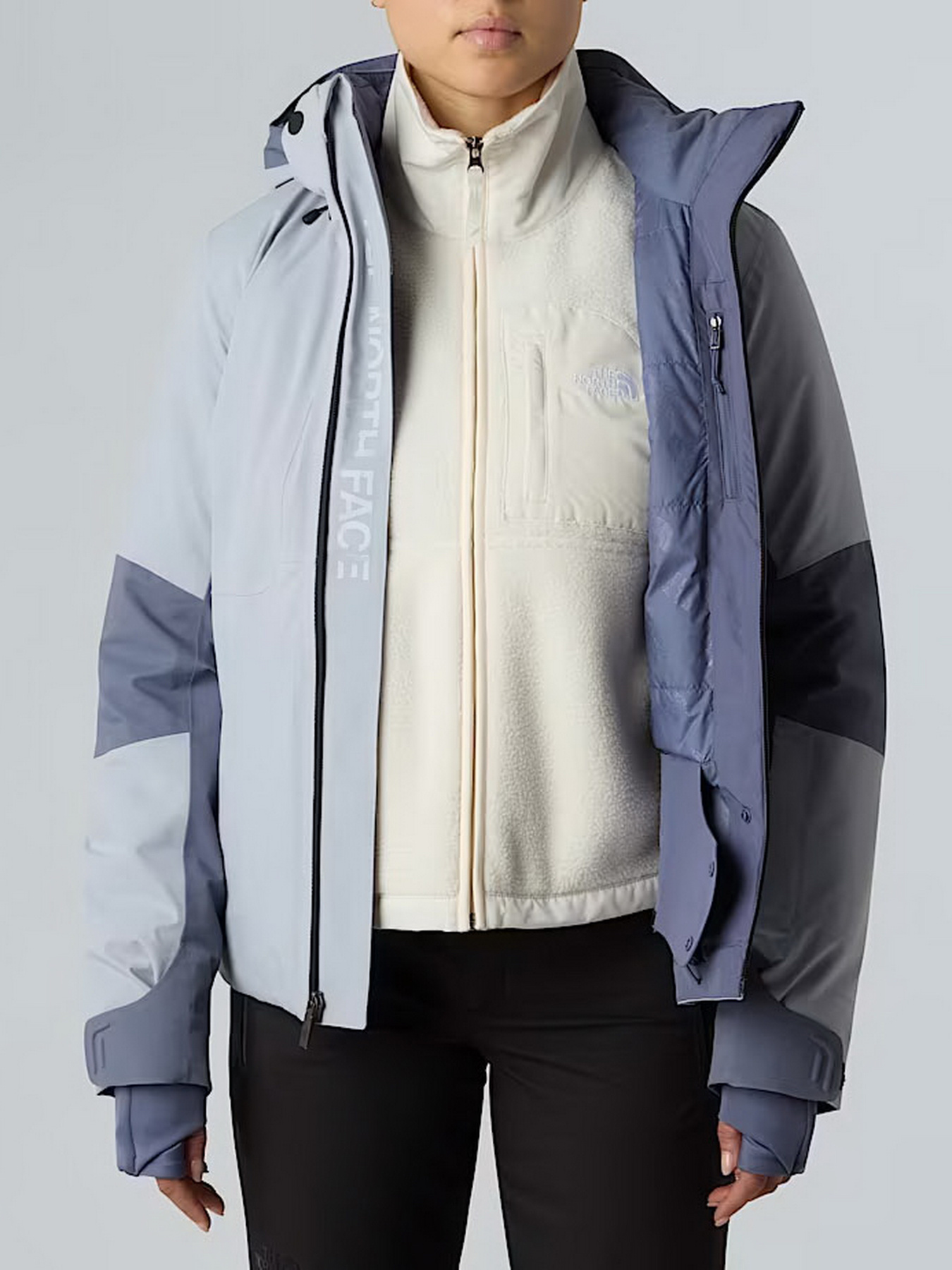 Куртки та дублянки The North Face модель NF0A8DDSEHA1 Фото