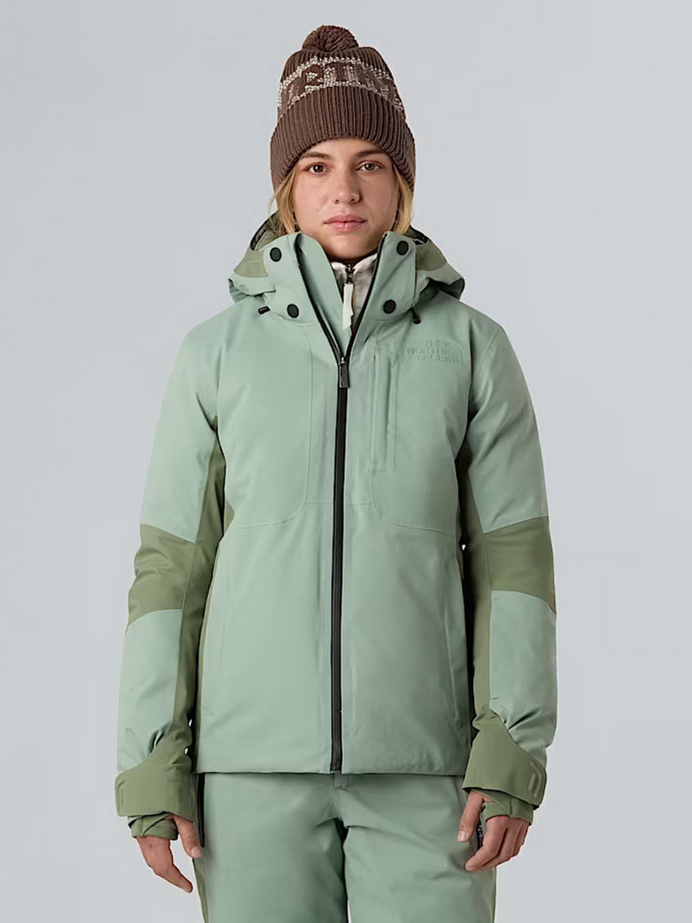 Куртки и дубленки The North Face модель NF0A8DDTBQ11 Фото