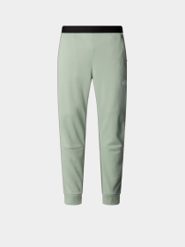 Брюки The North Face Mountain Athletics модель NF0A893SD5M1 Фото