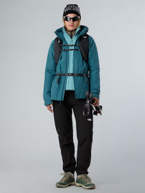Брюки The North Face модель NF0A8E1HJK31 Фото