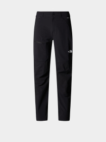 Брюки The North Face Speedlight модель NF0A8EKQJK31 Фото