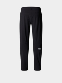 Брюки The North Face Speedlight модель NF0A8EKQJK31 Фото