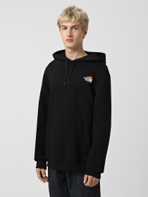 Худи и свитшоты The North Face Alpine Flower модель NF0A8F64JK31 Фото