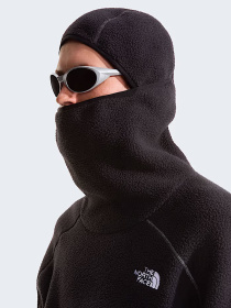 Худи и свитшоты The North Face U NSE BALACLAVA FLEECE модель NF0A8G91JK31 Фото