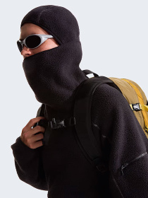 Худи и свитшоты The North Face U NSE BALACLAVA FLEECE модель NF0A8G91JK31 Фото