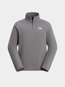 Худи и свитшоты The North Face M GLACIER FLEECE 1/4 ZIP JACKE модель NF0A8D0Q0UZ1 Фото