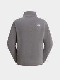 Худи и свитшоты The North Face M GLACIER FLEECE 1/4 ZIP JACKE модель NF0A8D0Q0UZ1 Фото