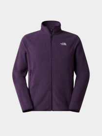 Худі та світшоти The North Face M GLACIER FLEECE JACKET модель NF0A8D0RG5O1 Фото
