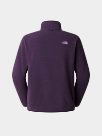 Худі та світшоти The North Face M GLACIER FLEECE JACKET модель NF0A8D0RG5O1 Фото