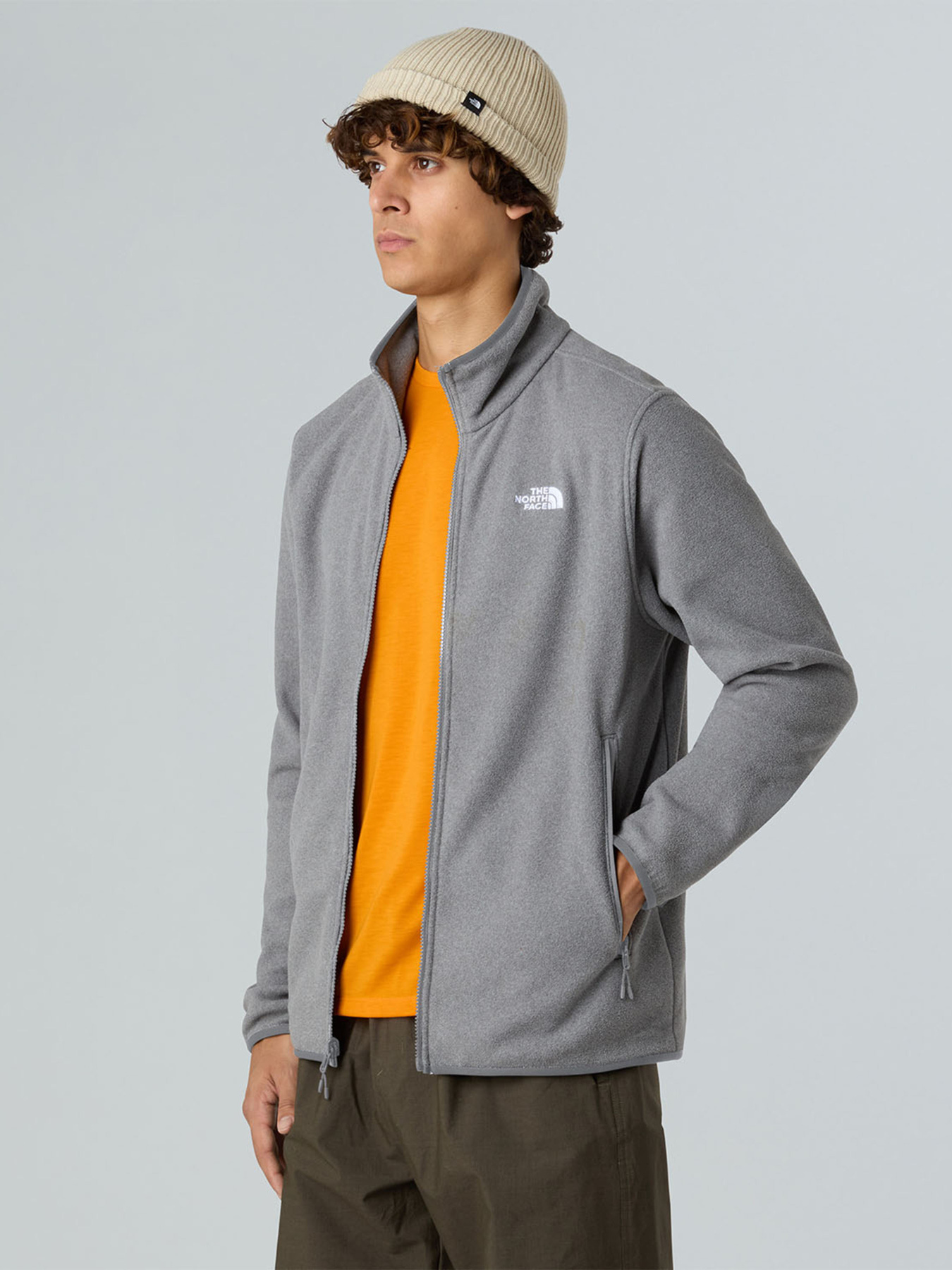 Худи и свитшоты The North Face M GLACIER FLEECE JACKET модель NF0A8D0RCQI1 Худи и свитшоты The North Face M GLACIER FLEECE JACKET модель NF0A8D0RCQI1 Фото