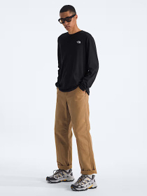Худі та світшоти The North Face M EVOLUTION SIMPLE DOME REGULA модель NF0A8EU3JK31 Фото