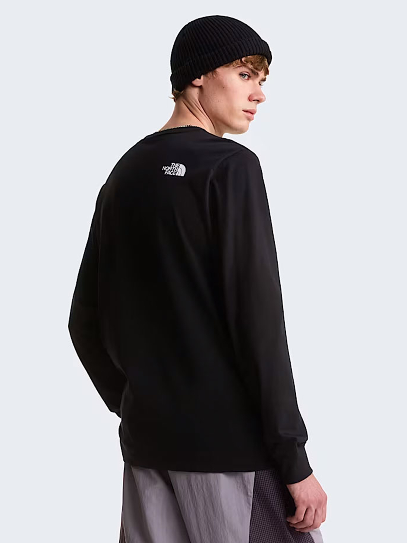 Худі та світшоти The North Face M EVOLUTION HALF DOME REGULAR модель NF0A8FD6JK31 Фото