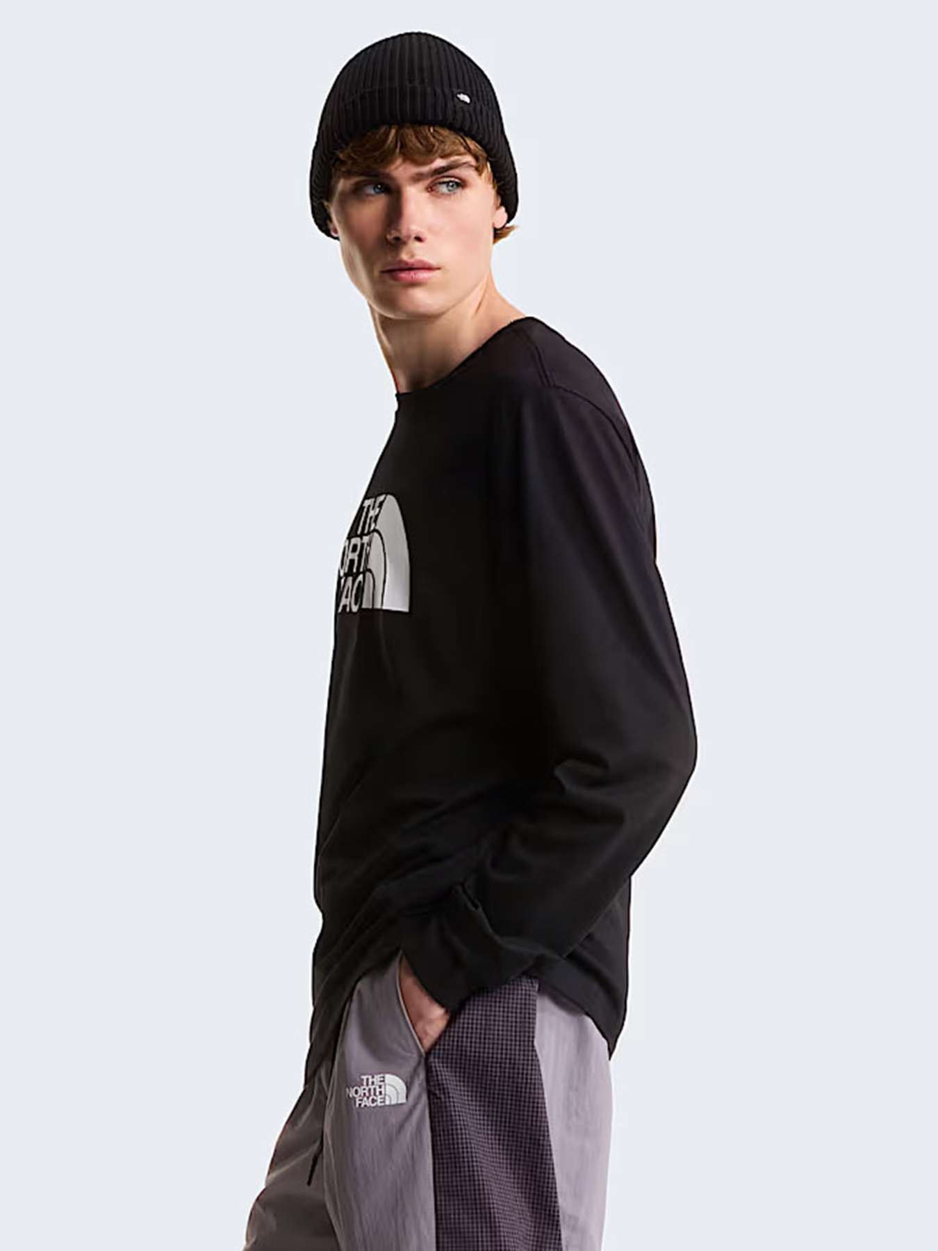 Худі та світшоти The North Face M EVOLUTION HALF DOME REGULAR модель NF0A8FD6JK31 Фото