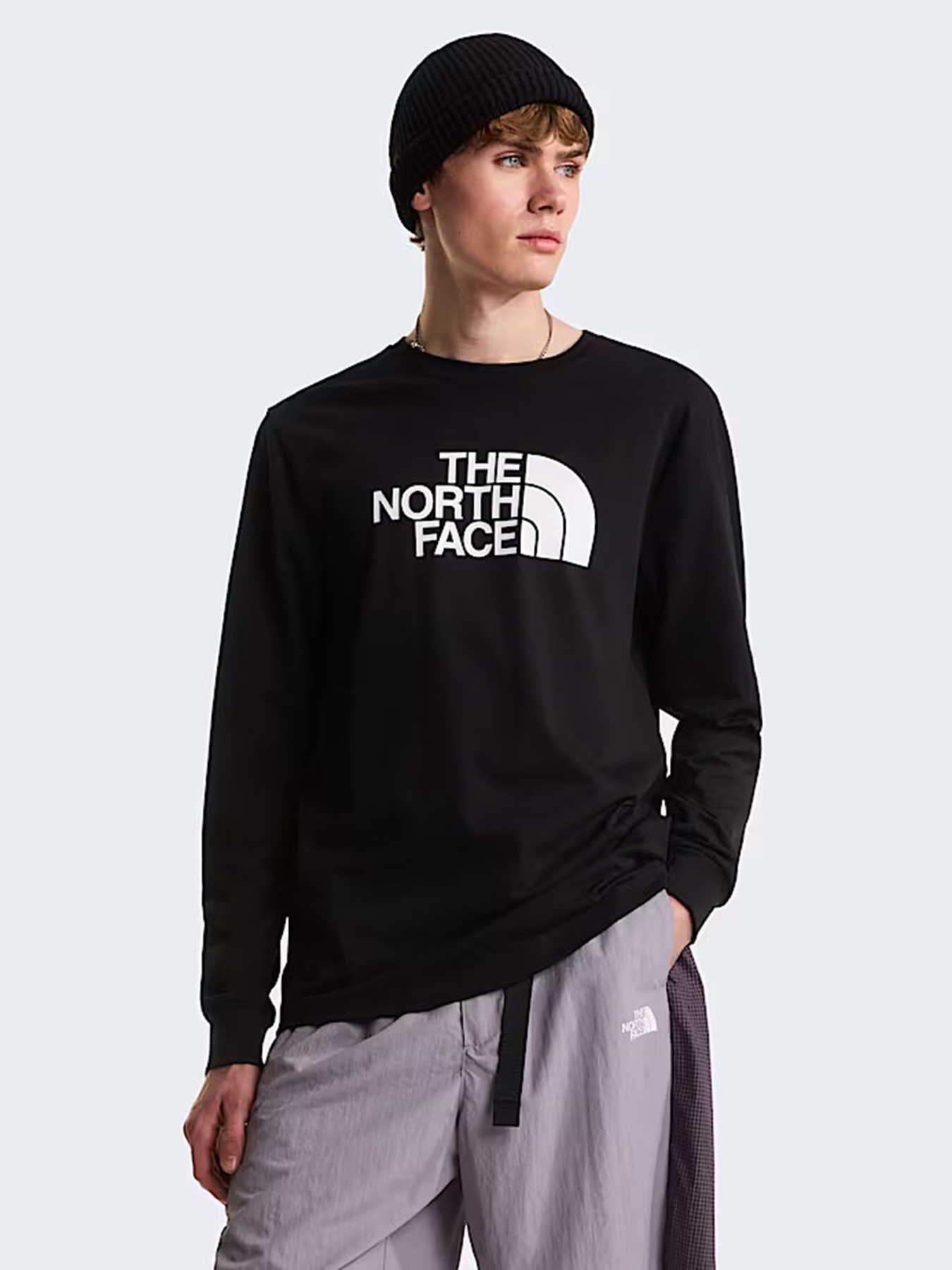 Худі та світшоти The North Face M EVOLUTION HALF DOME REGULAR модель NF0A8FD6JK31 Фото
