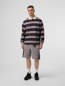 Футболки і поло The North Face U RUGBY POLO SWEATSHIRT модель NF0A8GAWJZU1 Фото