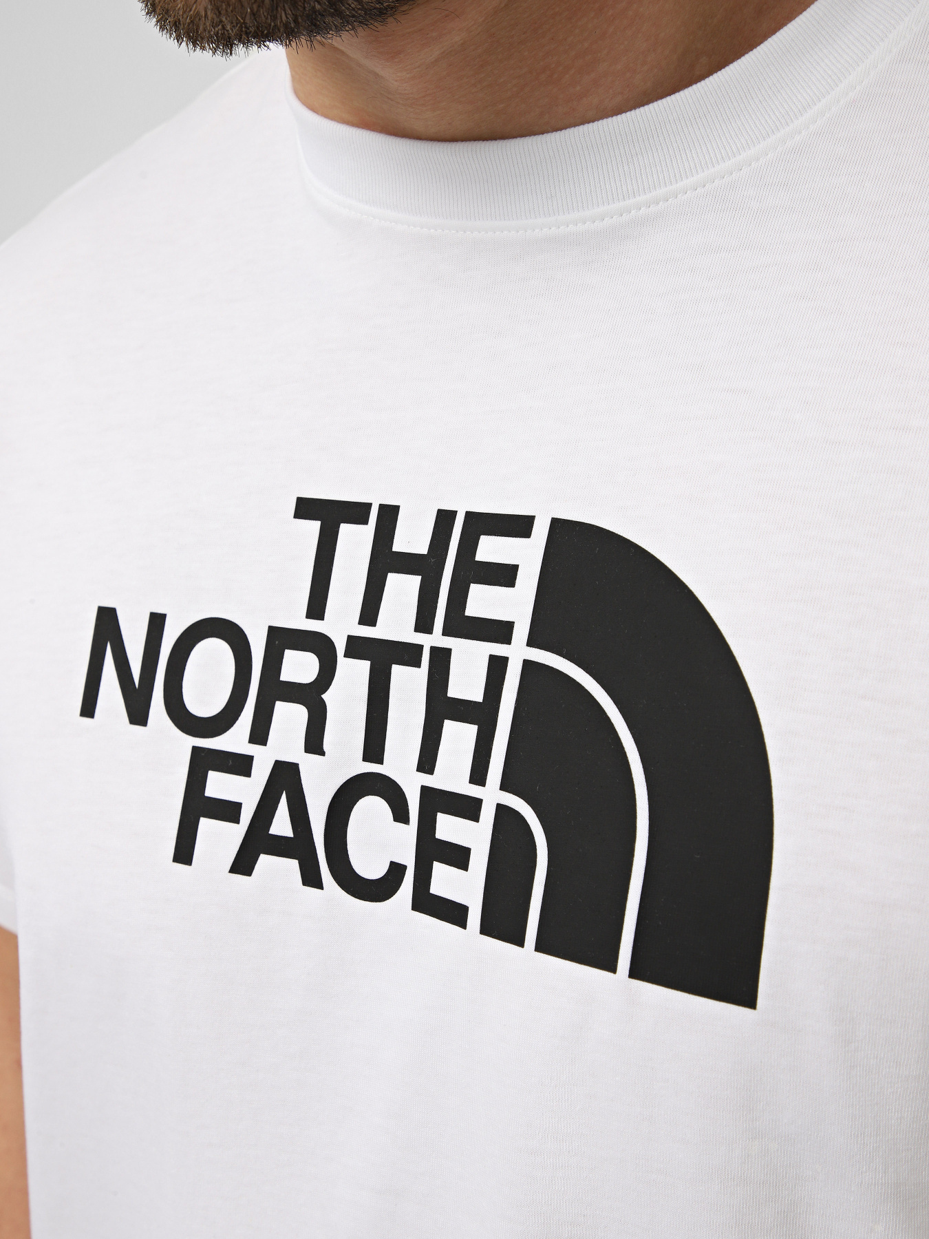 Футболки і поло The North Face M EVOLUTION HALF DOME REGULAR модель NF0A8B6JLA91 Футболки і поло The North Face M EVOLUTION HALF DOME REGULAR модель NF0A8B6JLA91 Фото