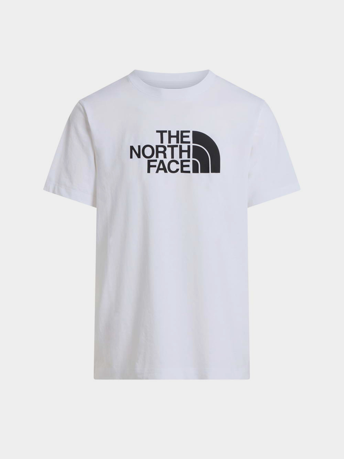 Футболки і поло The North Face M EVOLUTION HALF DOME REGULAR модель NF0A8B6JLA91 Футболки і поло The North Face M EVOLUTION HALF DOME REGULAR модель NF0A8B6JLA91 Фото
