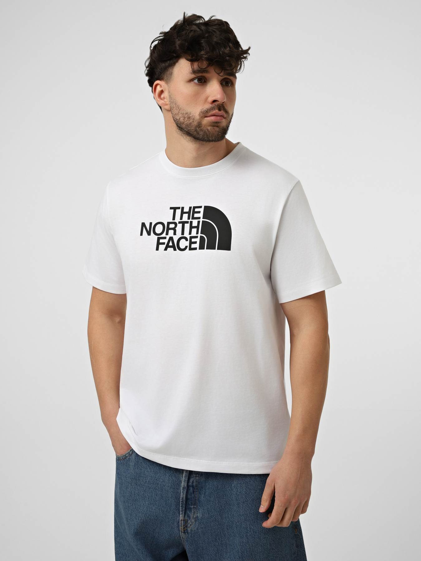 Футболки і поло The North Face M EVOLUTION HALF DOME REGULAR модель NF0A8B6JLA91 Футболки і поло The North Face M EVOLUTION HALF DOME REGULAR модель NF0A8B6JLA91 Фото
