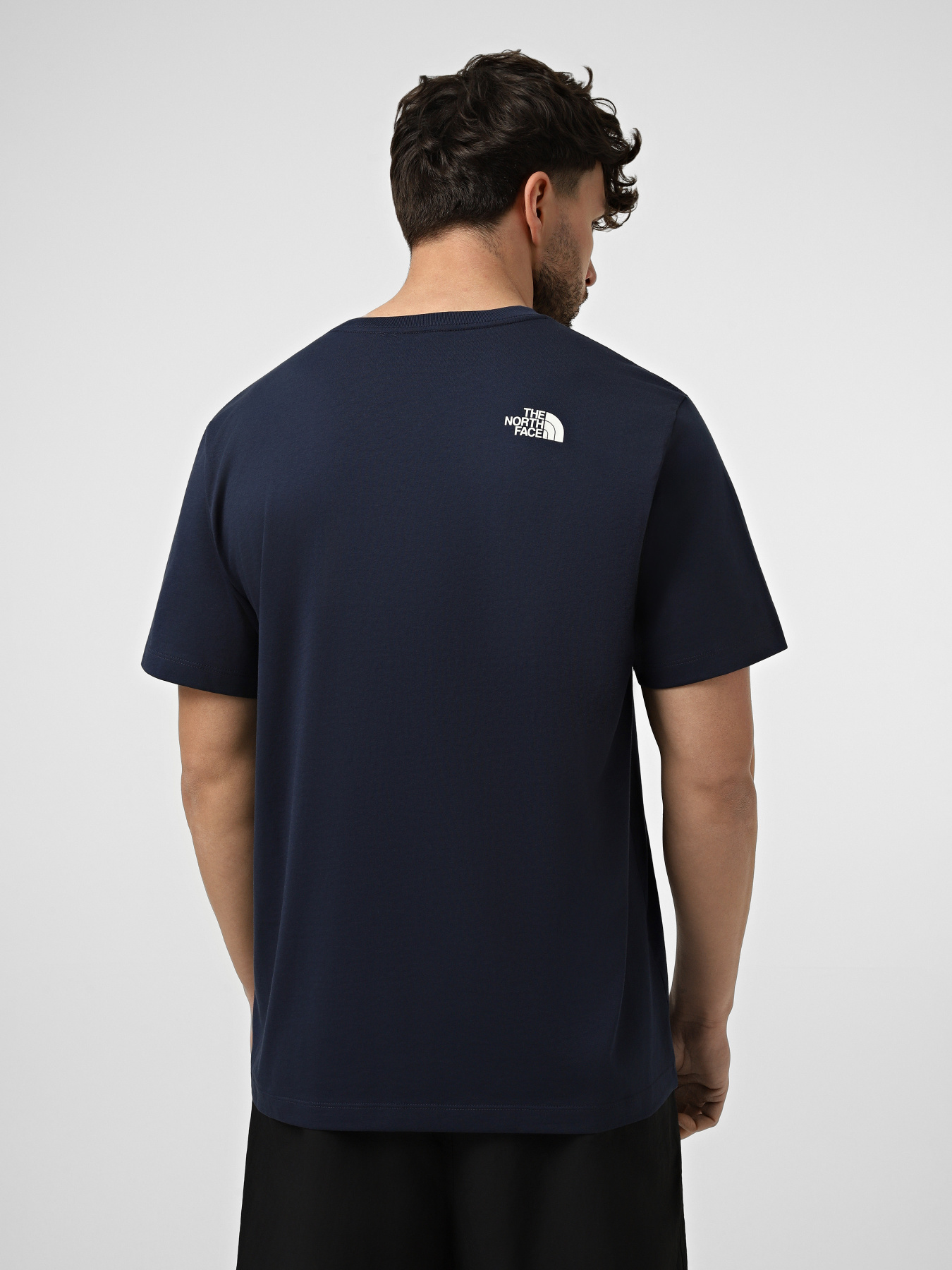 Футболки і поло The North Face M EVOLUTION HALF DOME REGULAR модель NF0A8B6JI851 Футболки і поло The North Face M EVOLUTION HALF DOME REGULAR модель NF0A8B6JI851 Фото