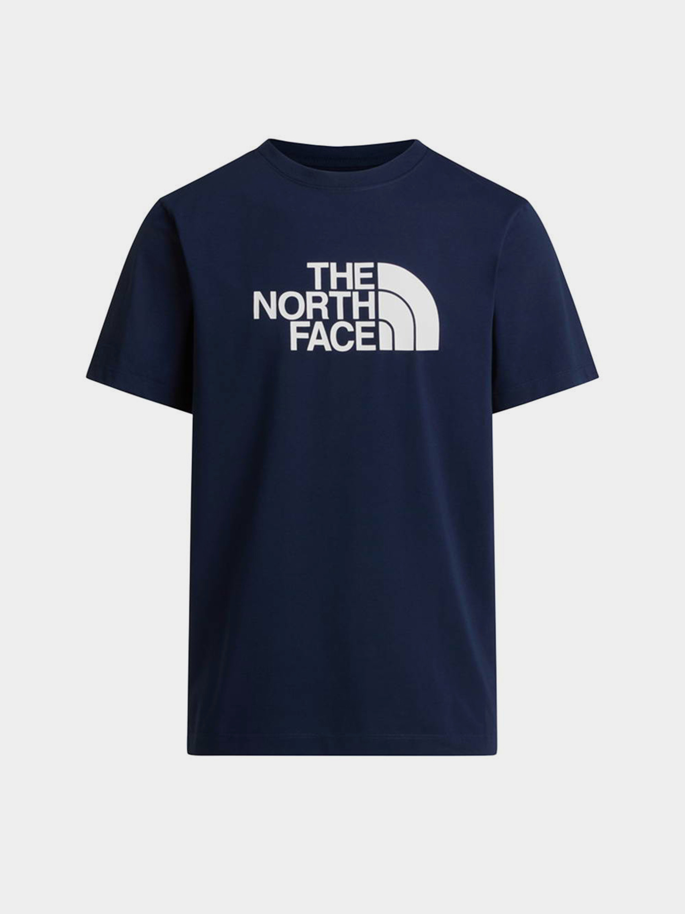 Футболки і поло The North Face M EVOLUTION HALF DOME REGULAR модель NF0A8B6JI851 Футболки і поло The North Face M EVOLUTION HALF DOME REGULAR модель NF0A8B6JI851 Фото