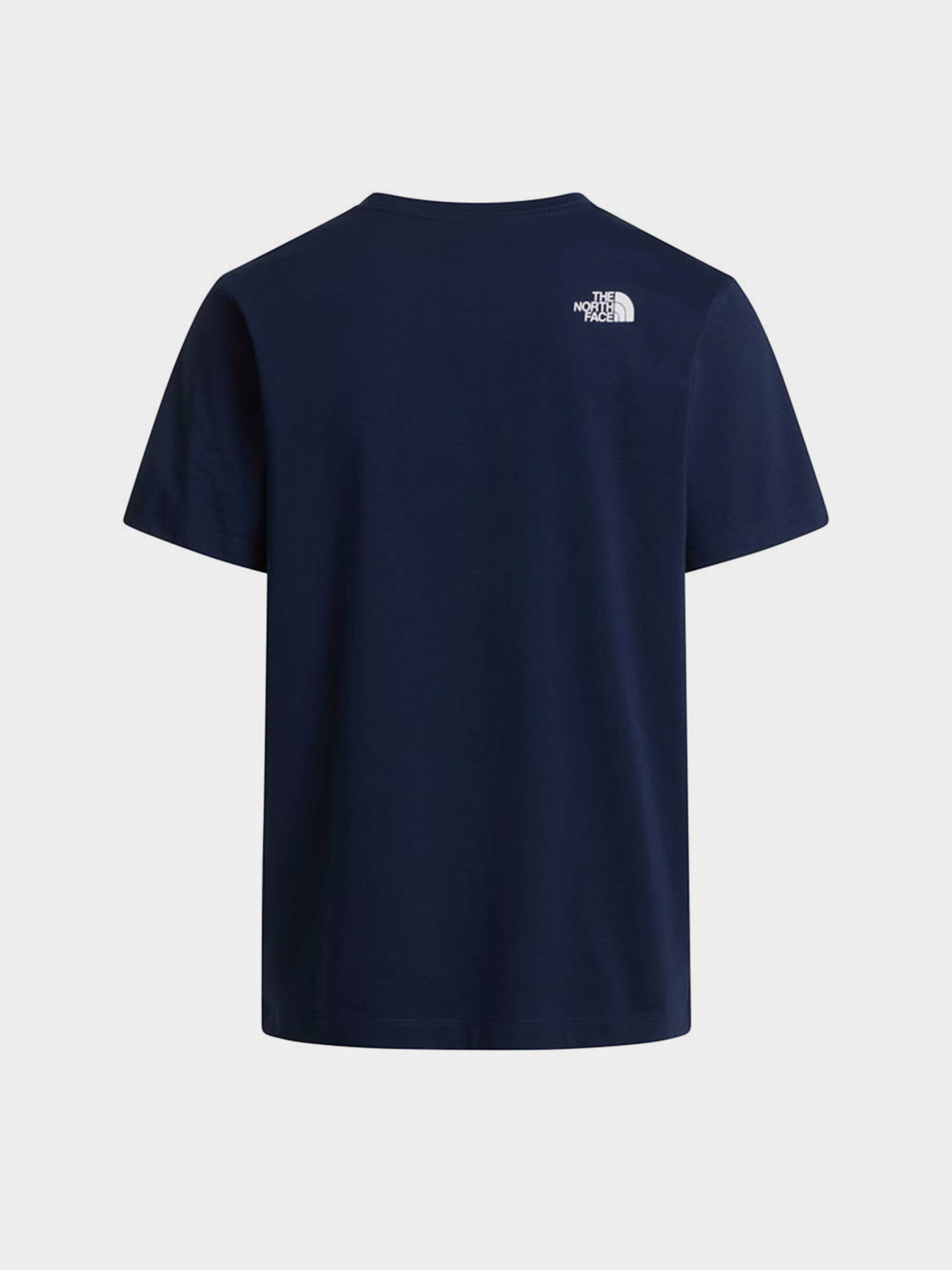 Футболки і поло The North Face M EVOLUTION HALF DOME REGULAR модель NF0A8B6JI851 Футболки і поло The North Face M EVOLUTION HALF DOME REGULAR модель NF0A8B6JI851 Фото