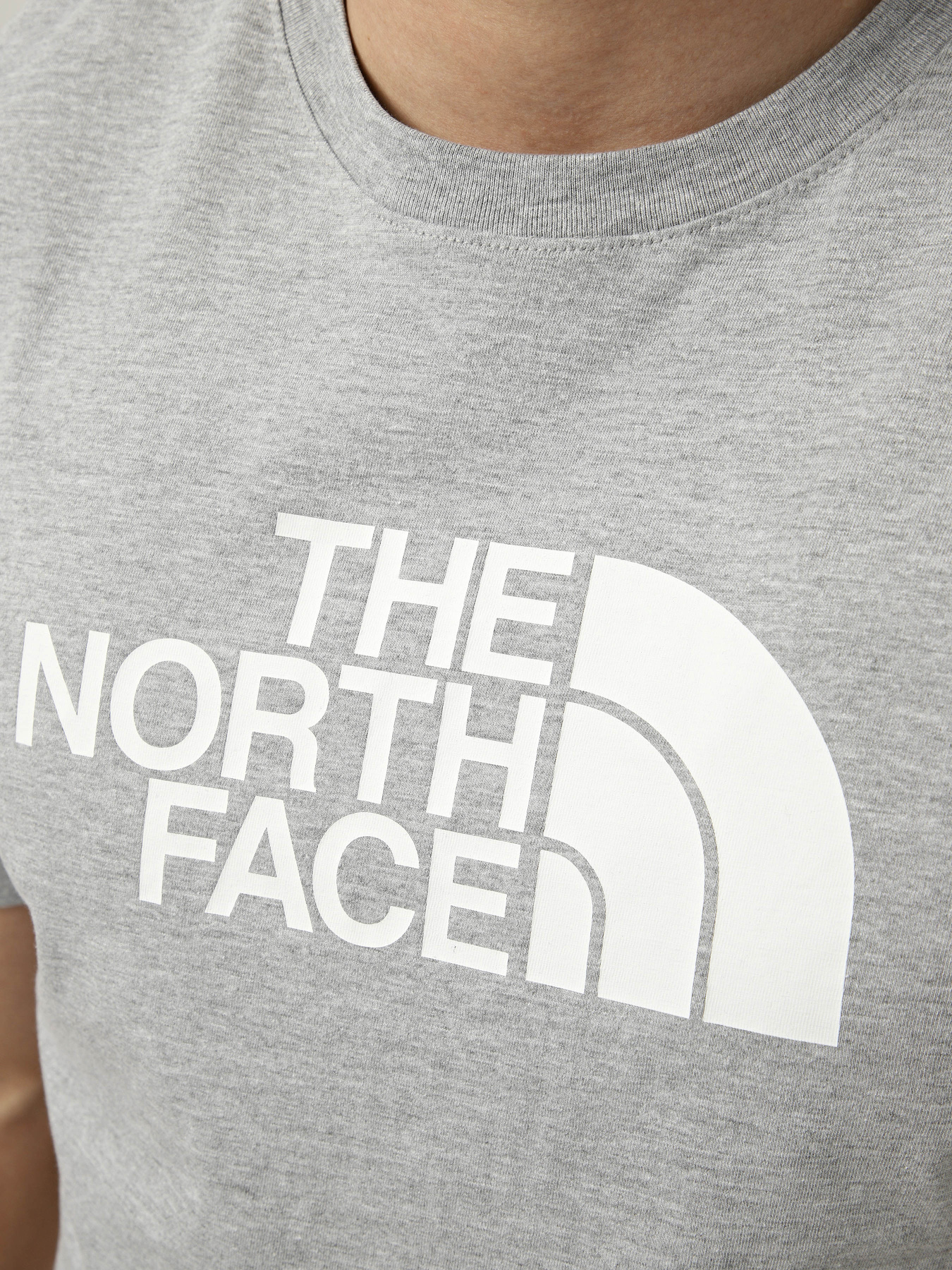 Футболки і поло The North Face M EVOLUTION HALF DOME REGULAR модель NF0A8B6JCU71 Футболки і поло The North Face M EVOLUTION HALF DOME REGULAR модель NF0A8B6JCU71 Фото