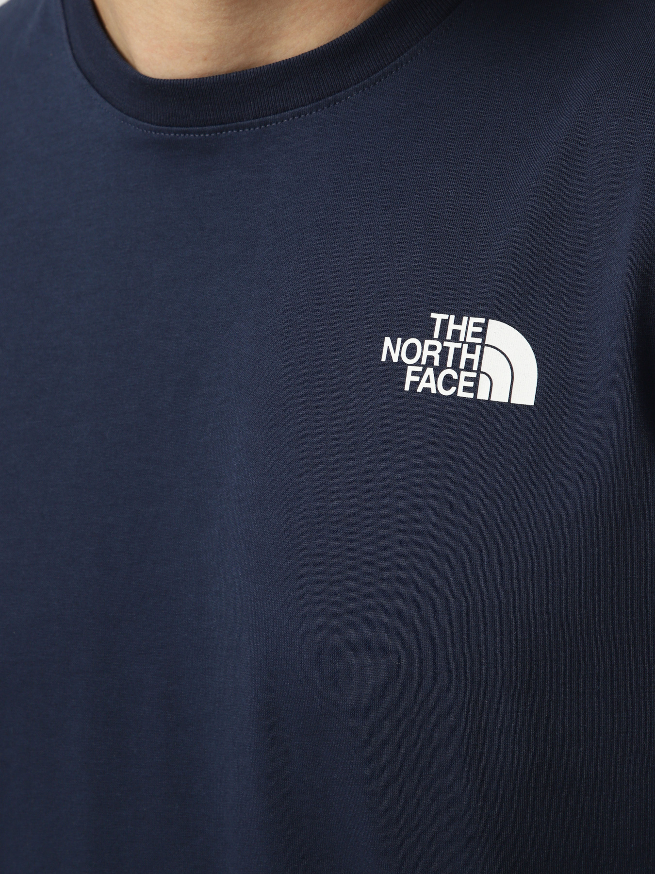 Футболки і поло The North Face M EVOLUTION BOX NSE REGULAR SH модель NF0A8B6K8K21 Фото
