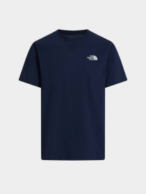 Футболки і поло The North Face M EVOLUTION BOX NSE REGULAR SH модель NF0A8B6K8K21 Фото