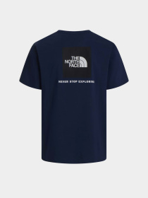 Футболки і поло The North Face M EVOLUTION BOX NSE REGULAR SH модель NF0A8B6K8K21 Фото