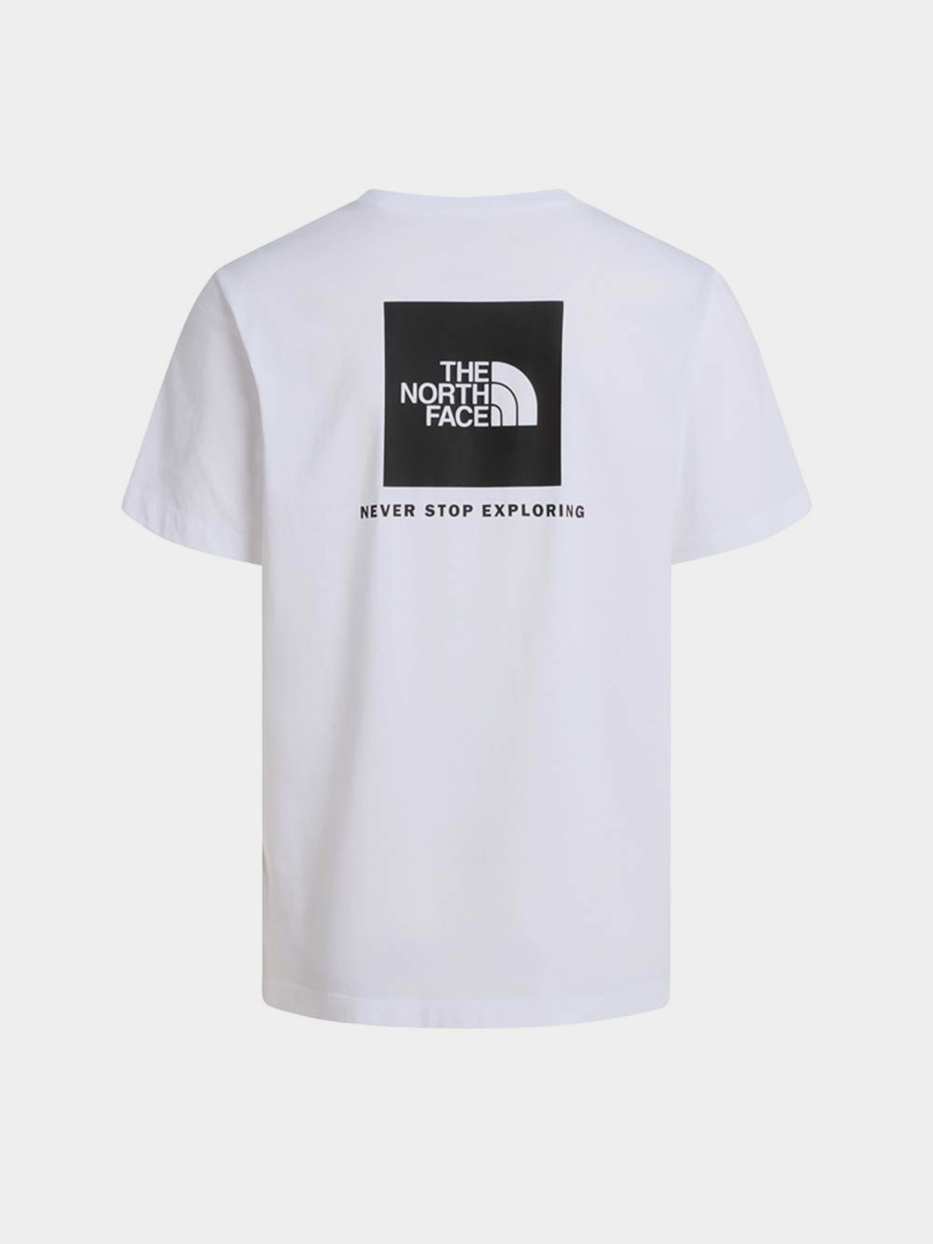 Футболки і поло The North Face M EVOLUTION BOX NSE REGULAR SH модель NF0A8B6KFN41 Футболки і поло The North Face M EVOLUTION BOX NSE REGULAR SH модель NF0A8B6KFN41 Фото