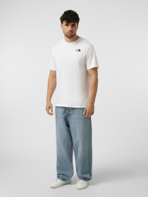 Футболки і поло The North Face M EVOLUTION BOX NSE REGULAR SH модель NF0A8B6KFN41 Фото