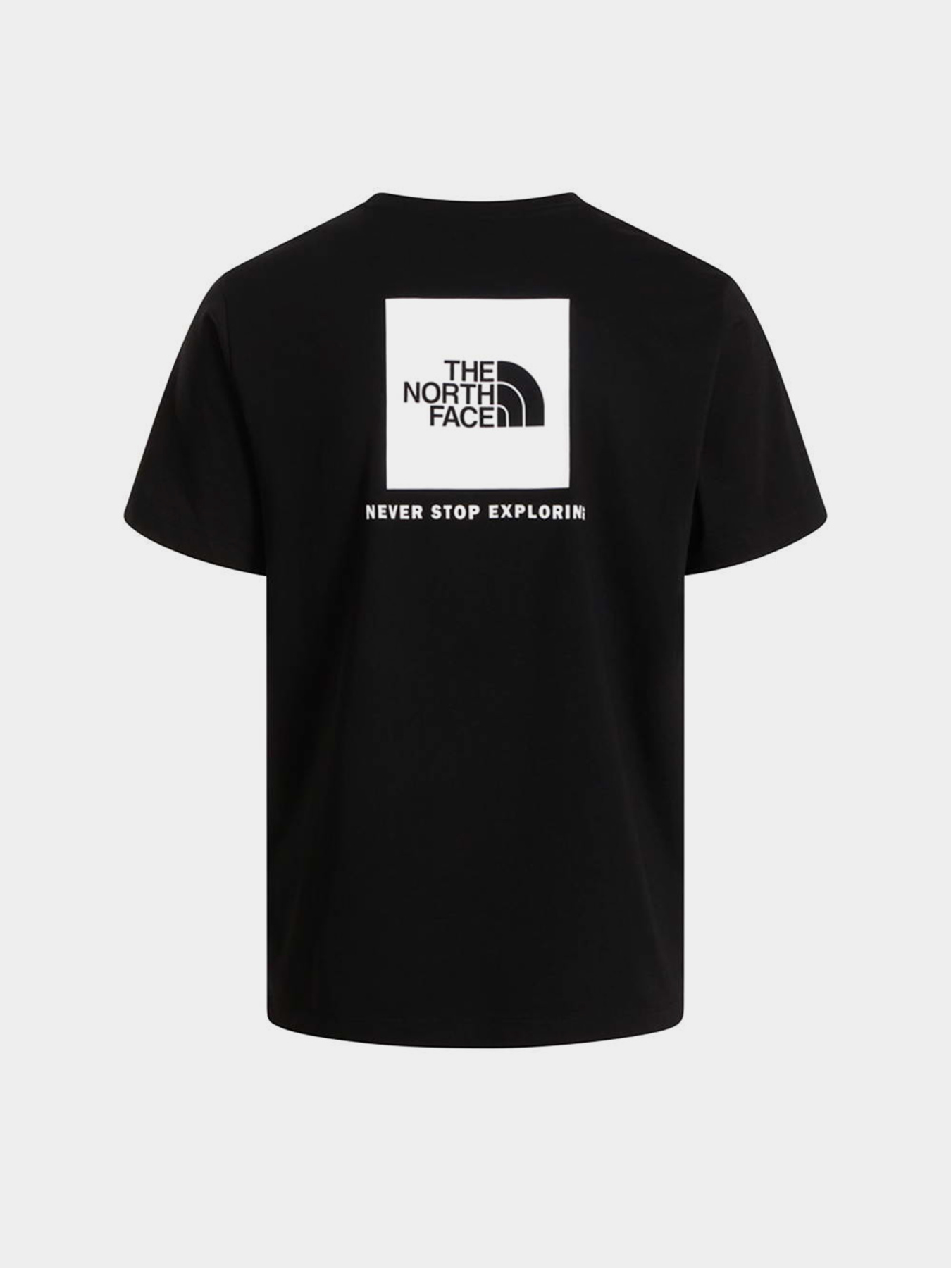 Футболки і поло The North Face M EVOLUTION BOX NSE REGULAR SH модель NF0A8B6KKY41 Фото