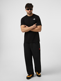 Футболки і поло The North Face M EVOLUTION BOX NSE REGULAR SH модель NF0A8B6KKY41 Фото