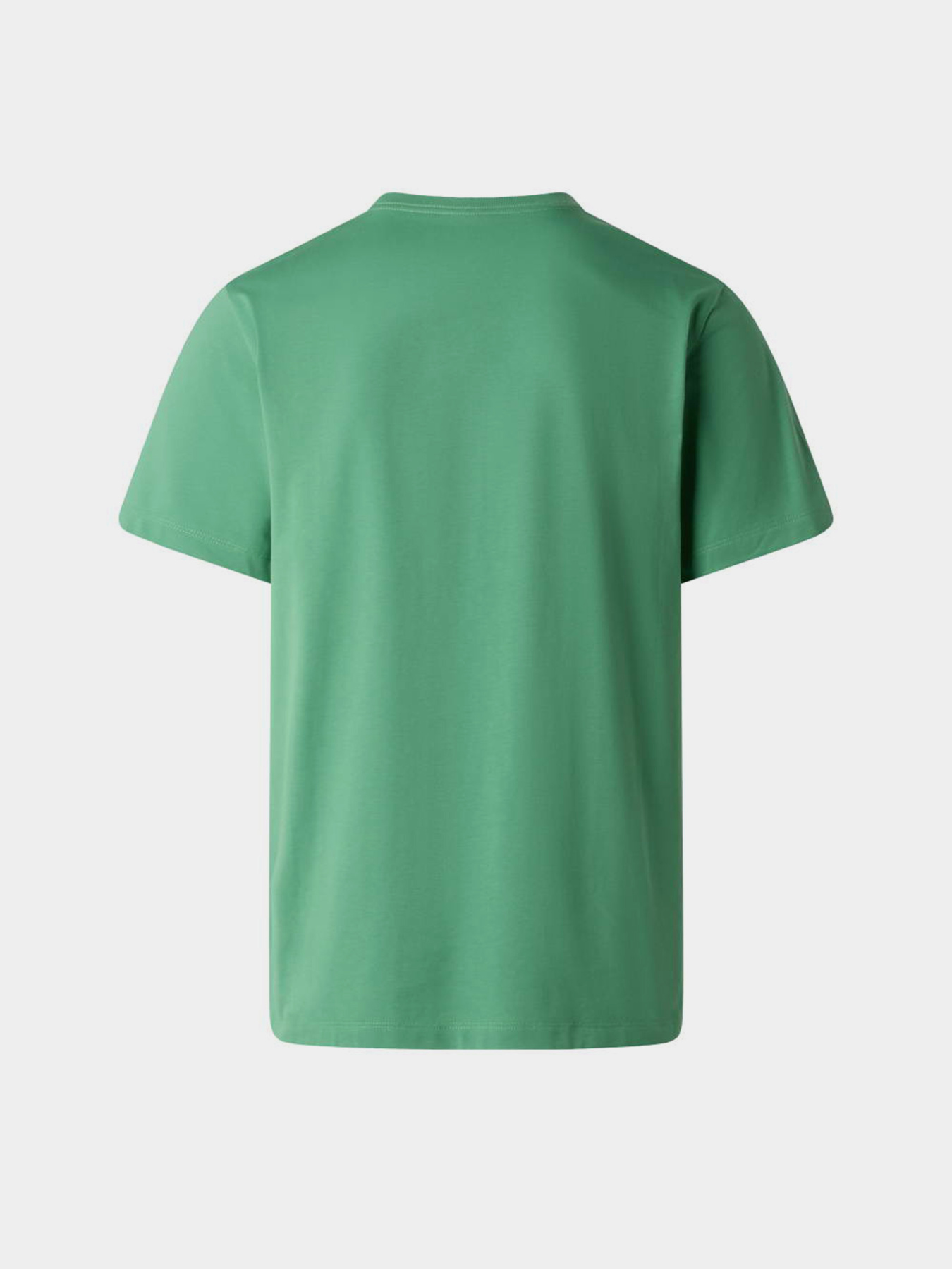 Футболки і поло The North Face M EVOLUTION SIMPLE DOME REGULA модель NF0A8CZ2G571 Футболки і поло The North Face M EVOLUTION SIMPLE DOME REGULA модель NF0A8CZ2G571 Фото