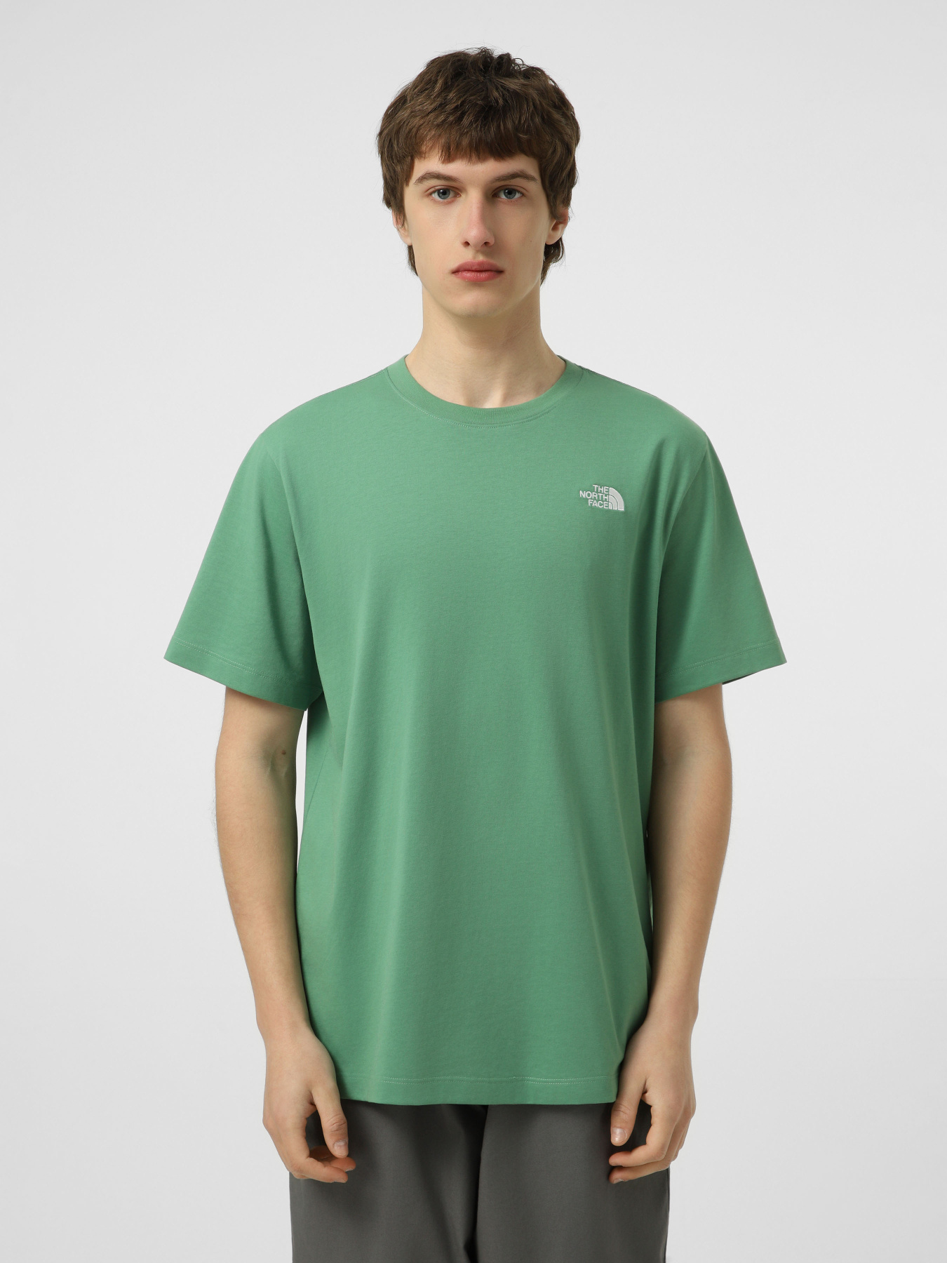 Футболки і поло The North Face M EVOLUTION SIMPLE DOME REGULA модель NF0A8CZ2G571 Футболки і поло The North Face M EVOLUTION SIMPLE DOME REGULA модель NF0A8CZ2G571 Фото