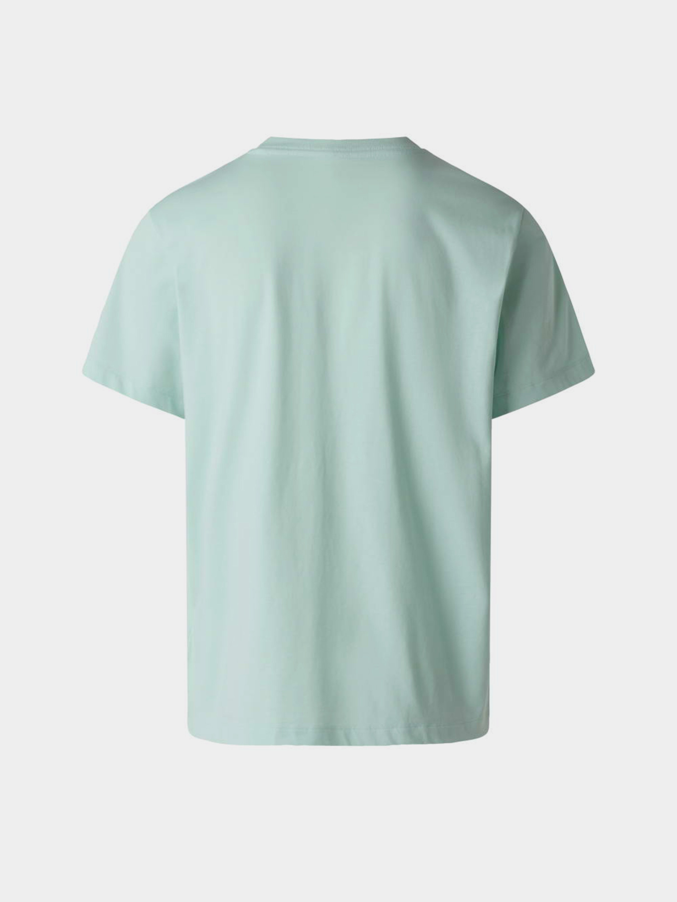 Футболки и поло The North Face M EVOLUTION SIMPLE DOME REGULA модель NF0A8CZ2G701 Футболки и поло The North Face M EVOLUTION SIMPLE DOME REGULA модель NF0A8CZ2G701 Фото