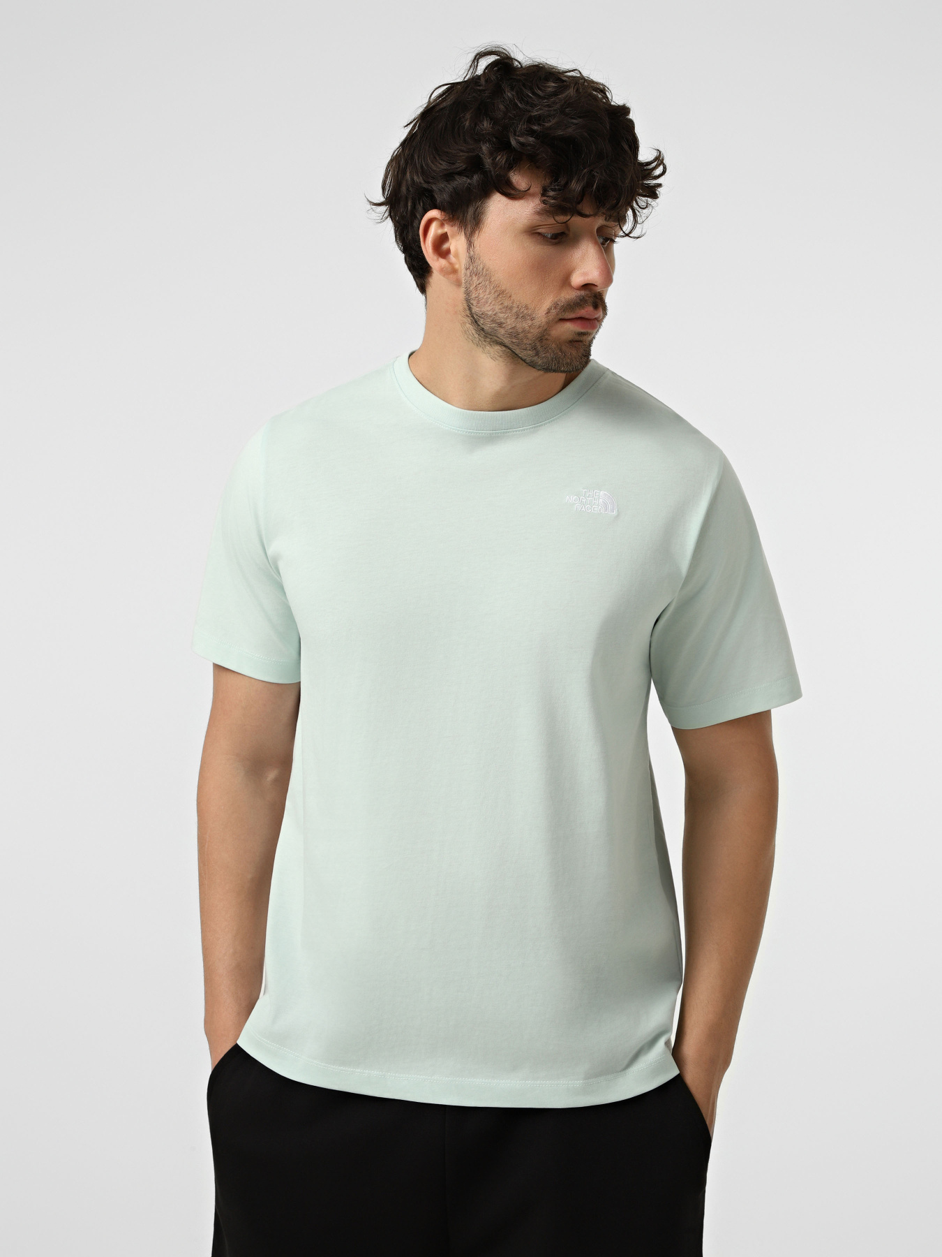 Футболки и поло The North Face M EVOLUTION SIMPLE DOME REGULA модель NF0A8CZ2G701 Футболки и поло The North Face M EVOLUTION SIMPLE DOME REGULA модель NF0A8CZ2G701 Фото