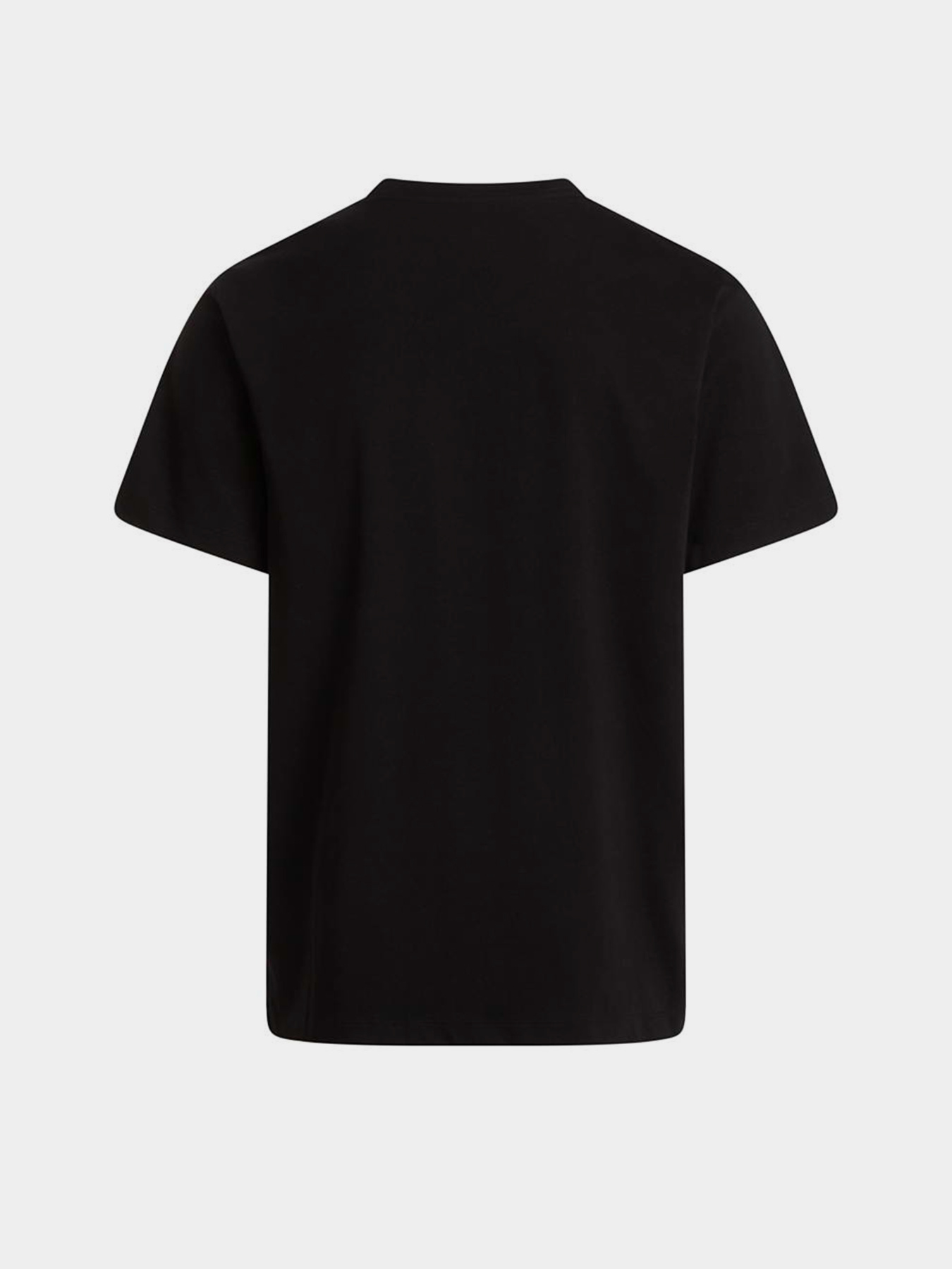 Футболки і поло The North Face M EVOLUTION SIMPLE DOME REGULA модель NF0A8CZ2JK31 Футболки і поло The North Face M EVOLUTION SIMPLE DOME REGULA модель NF0A8CZ2JK31 Фото