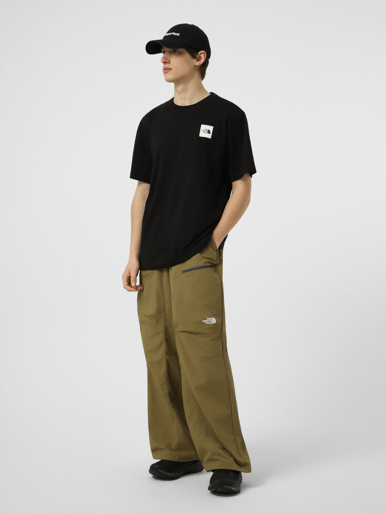 Футболки і поло The North Face M EVOLUTION BOX HALF DOME REGU модель NF0A8G9CJK31 Фото