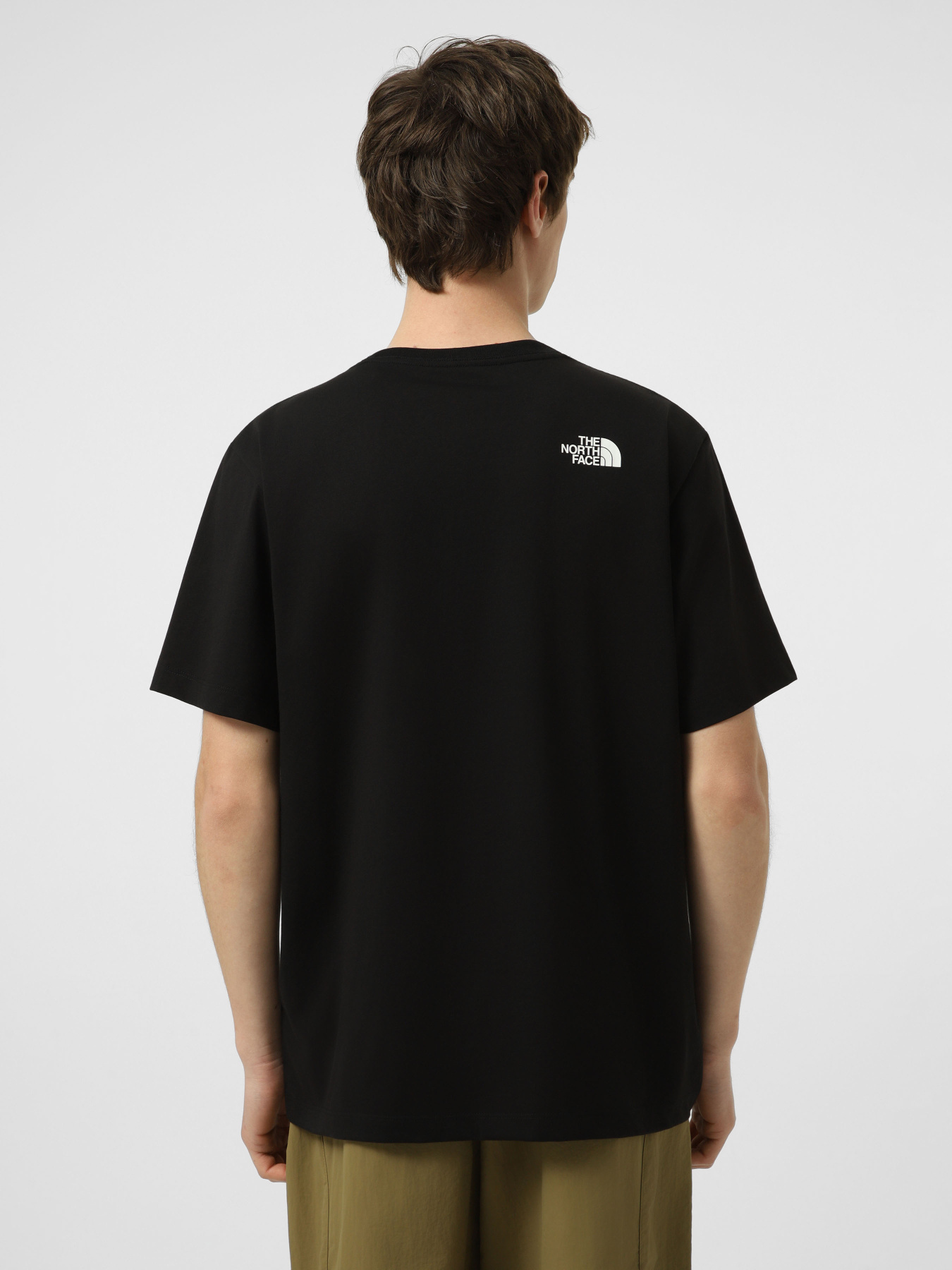 Футболки і поло The North Face M EVOLUTION BOX HALF DOME REGU модель NF0A8G9CJK31 Фото