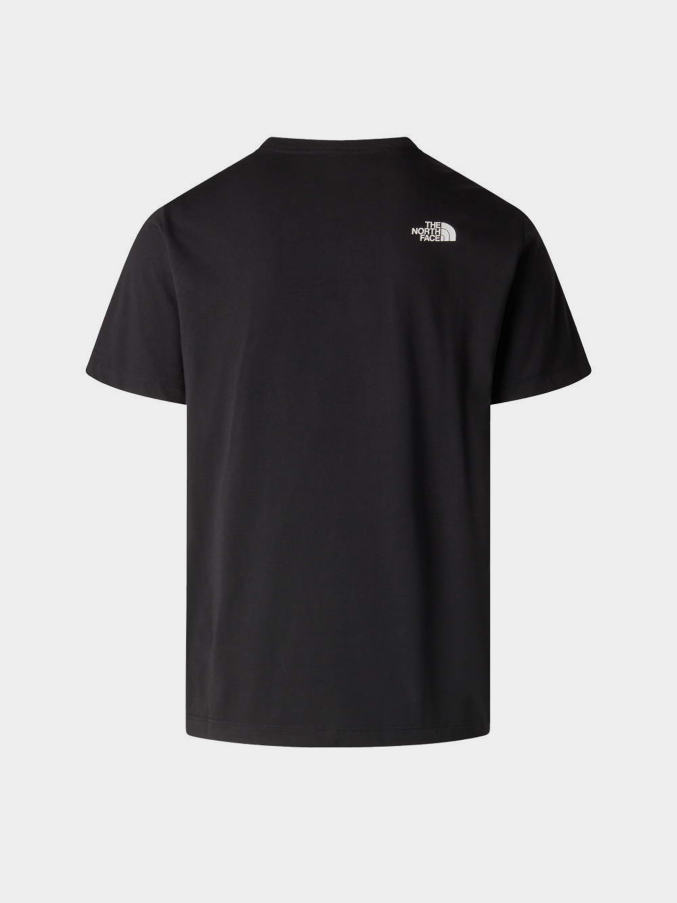 Футболки і поло The North Face M EVOLUTION BOX HALF DOME REGU модель NF0A8G9CJK31 Фото