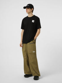 Футболки і поло The North Face M EVOLUTION BOX HALF DOME REGU модель NF0A8G9CJK31 Фото