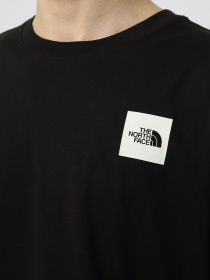 Футболки і поло The North Face M EVOLUTION BOX HALF DOME REGU модель NF0A8G9CJK31 Фото