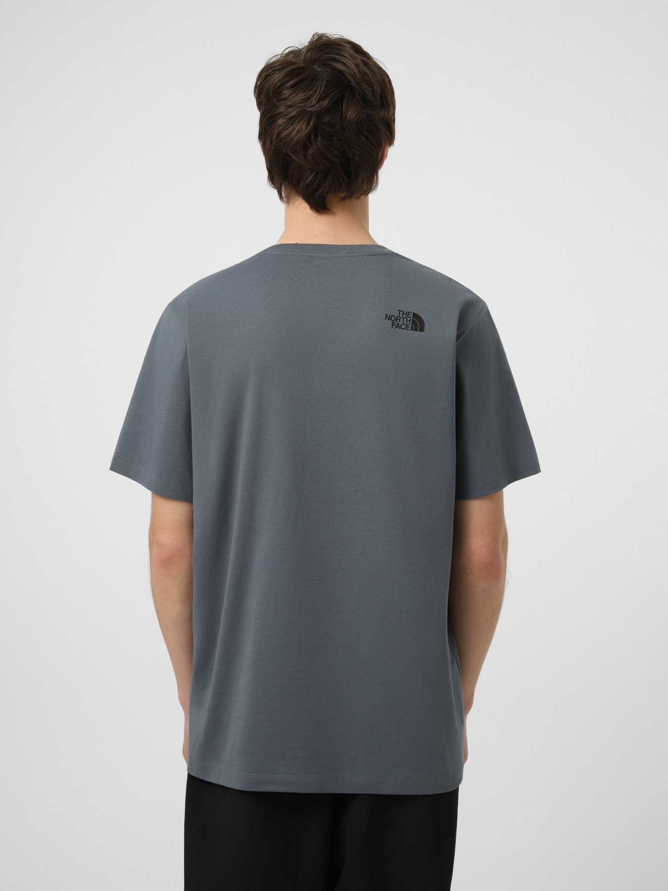 Футболки і поло The North Face M EVOLUTION BOX HALF DOME REGU модель NF0A8G9C0U31 Фото