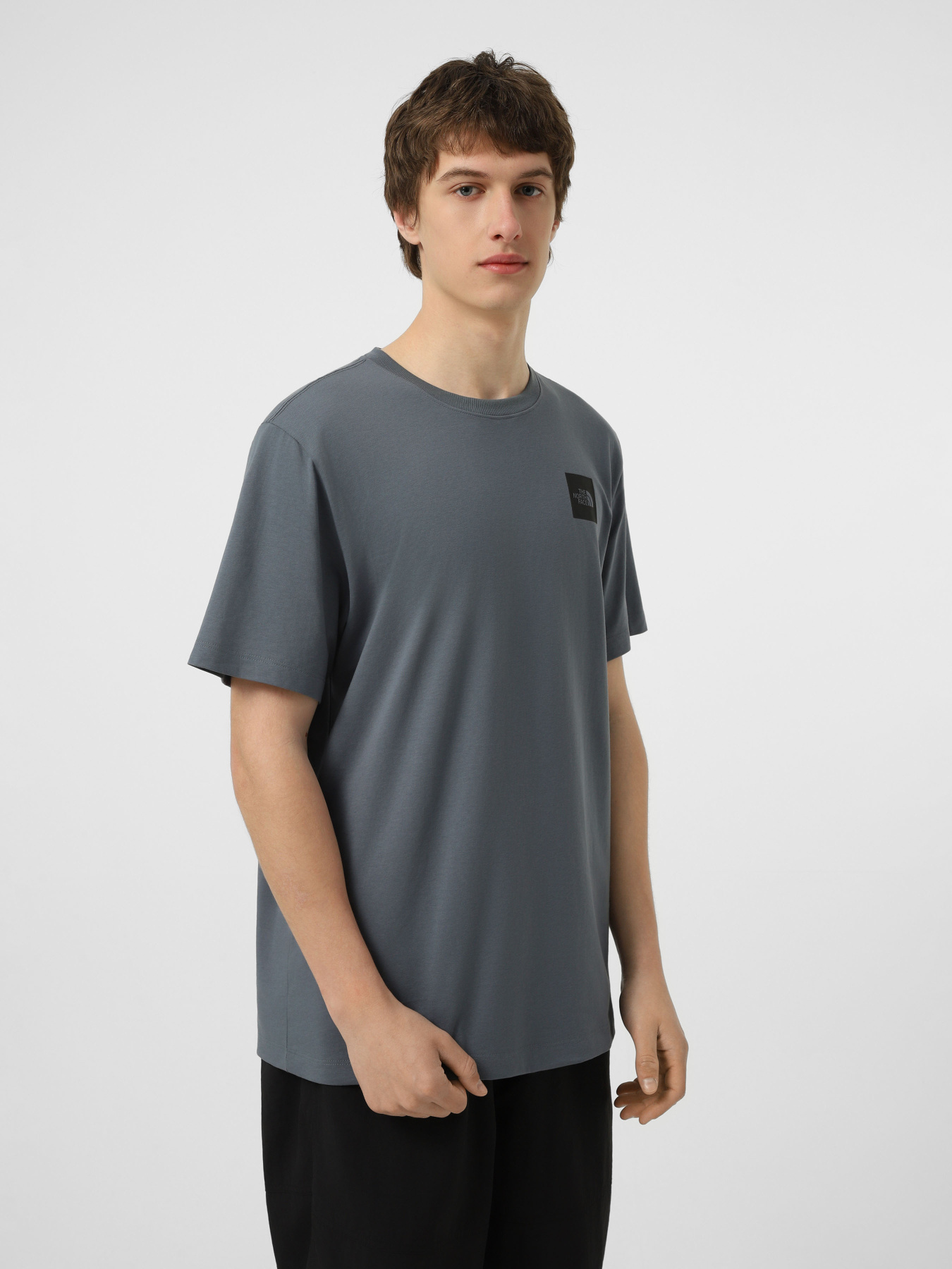 Футболки і поло The North Face M EVOLUTION BOX HALF DOME REGU модель NF0A8G9C0U31 Фото