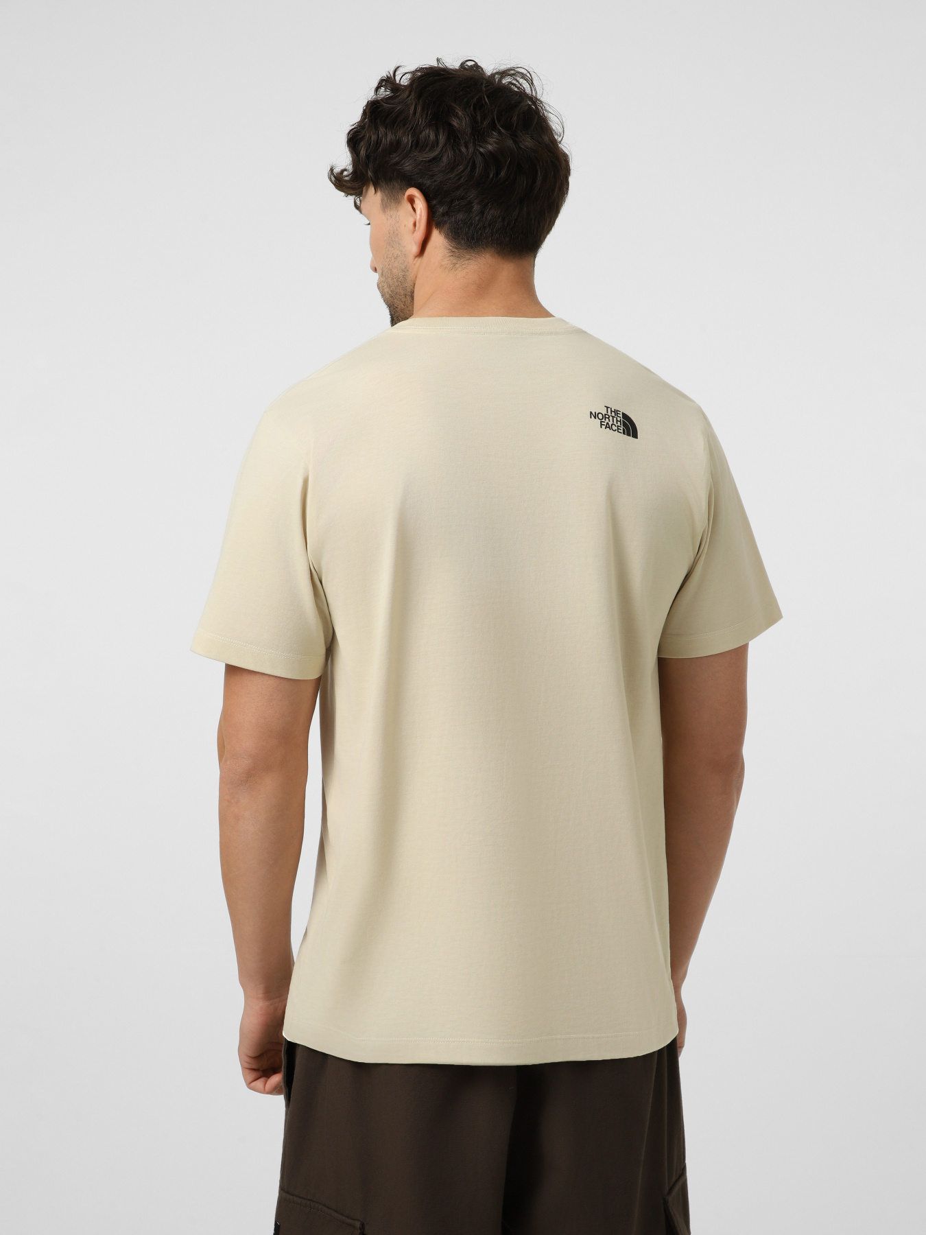 Футболки и поло The North Face M EVOLUTION BOX HALF DOME REGU модель NF0A8G9CDOM1 Фото