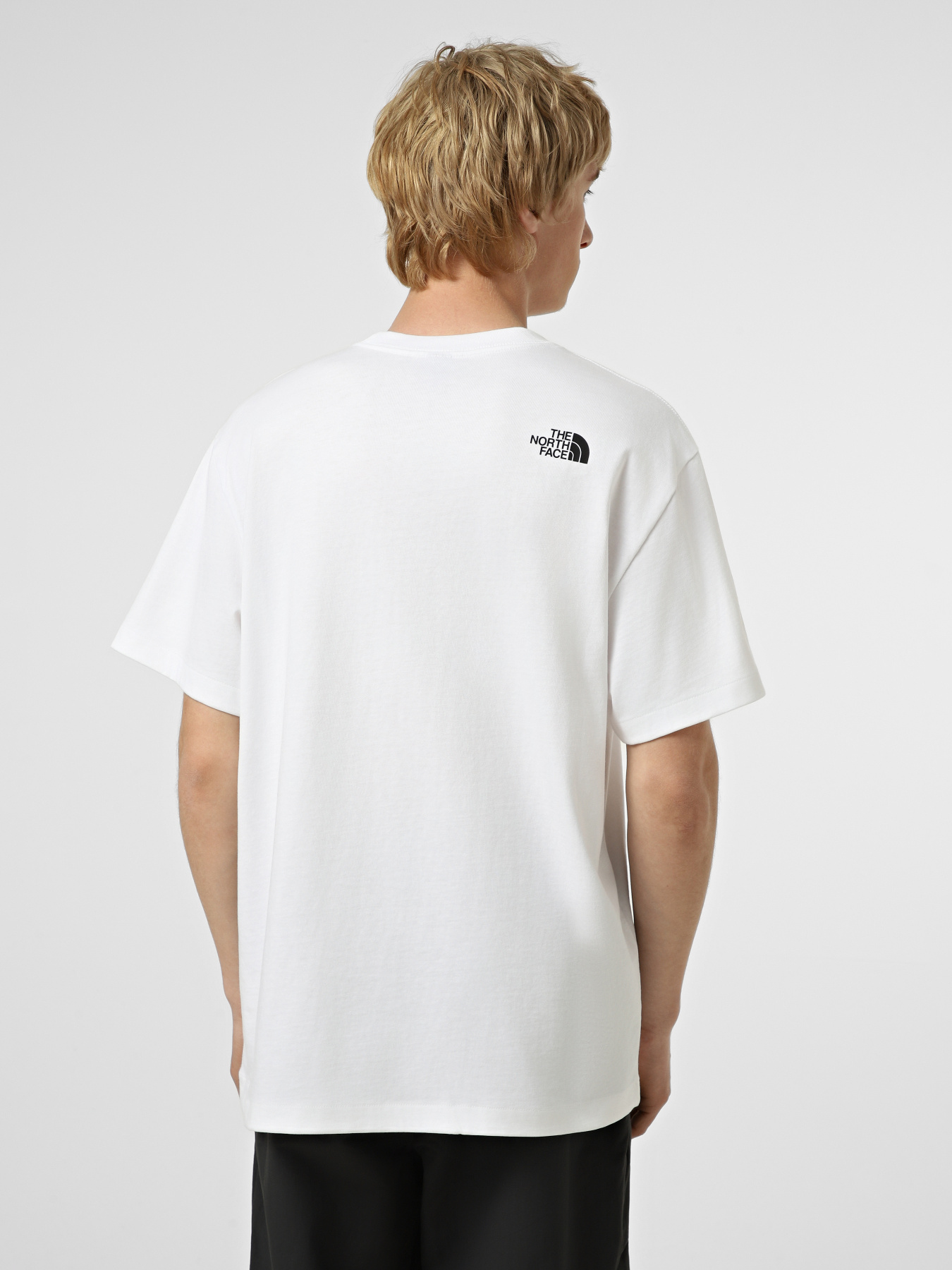 Футболки і поло The North Face M DONKEY TAXI RELAXED SHORT SL модель NF0A8G9FFN41 Футболки і поло The North Face M DONKEY TAXI RELAXED SHORT SL модель NF0A8G9FFN41 Фото